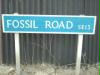 fossil road